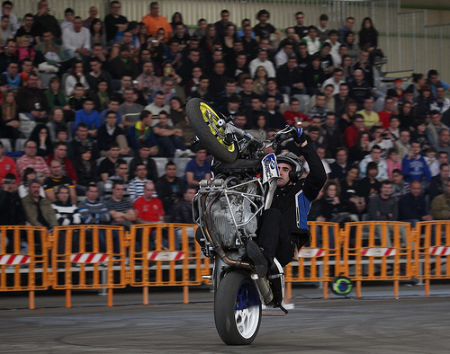 MSF 2011