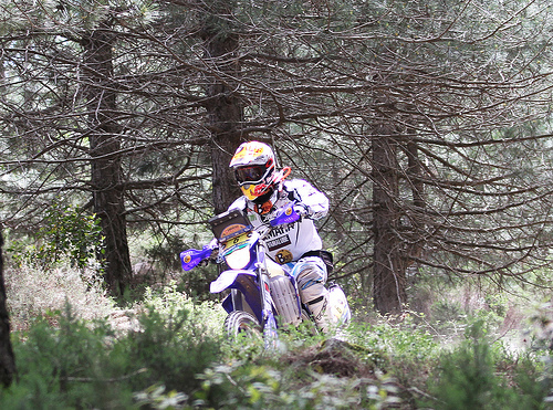 Jordi Viladoms - Cerdeña
