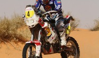 Jordi Viladoms